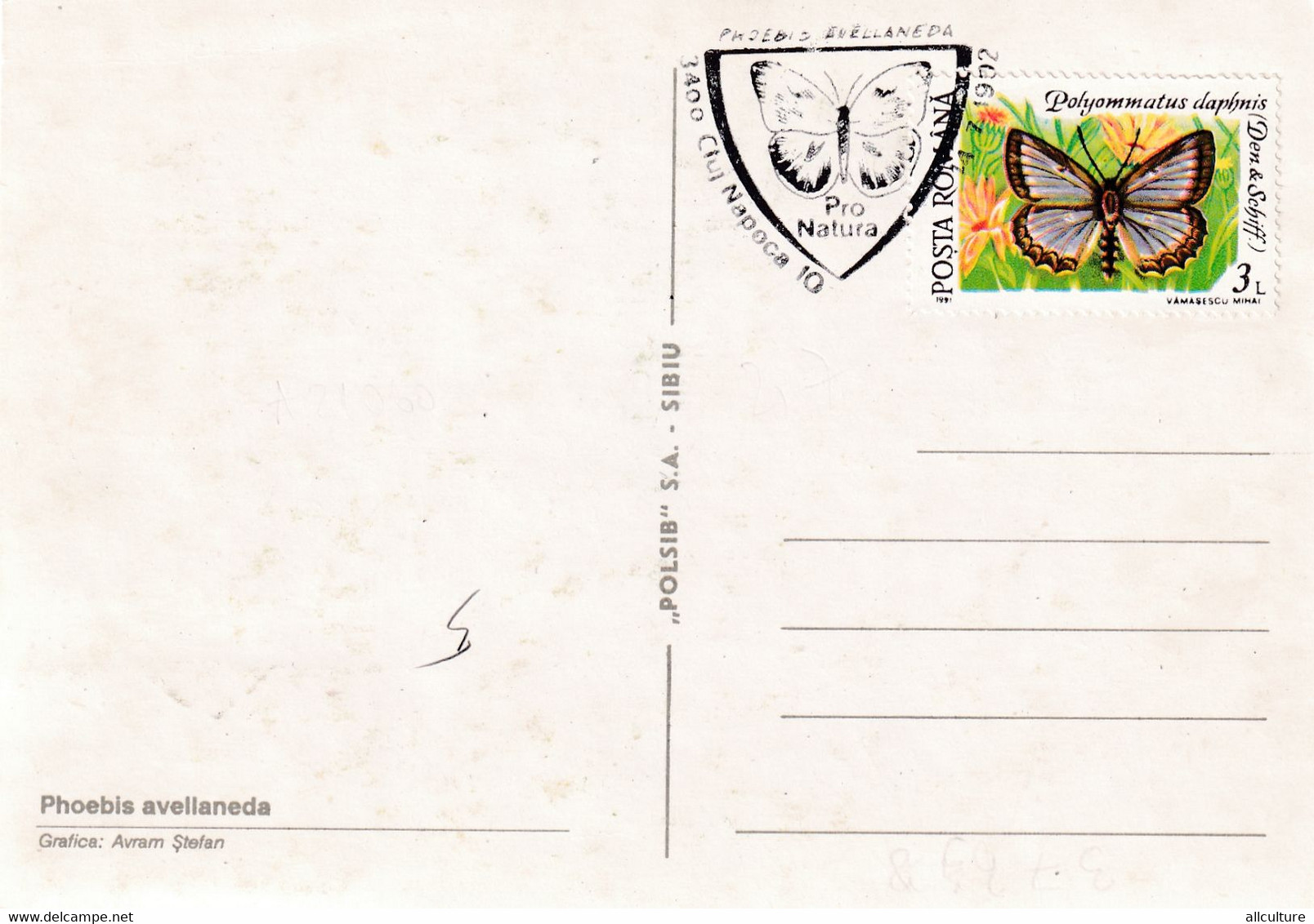 A9041- PHOEBIS AVELLANEDA BUTTERFLY, PRONATURE CLUJ NAPOCA 1992 ROMANIA, MAX CARD USED STAMP ON COVER POSTCARD - Vlinders