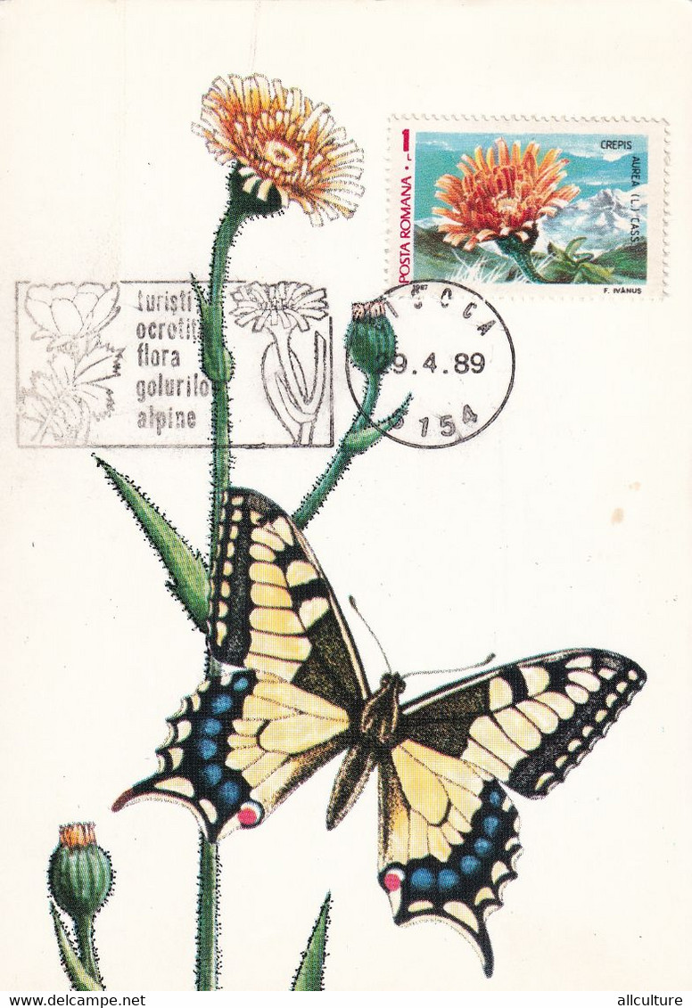 A9042- POPILIO MACHAON BUTTERFLY,  BISOCA 1989 ROMANIA, MAX CARD USED STAMP ON COVER POSTCARD - Vlinders