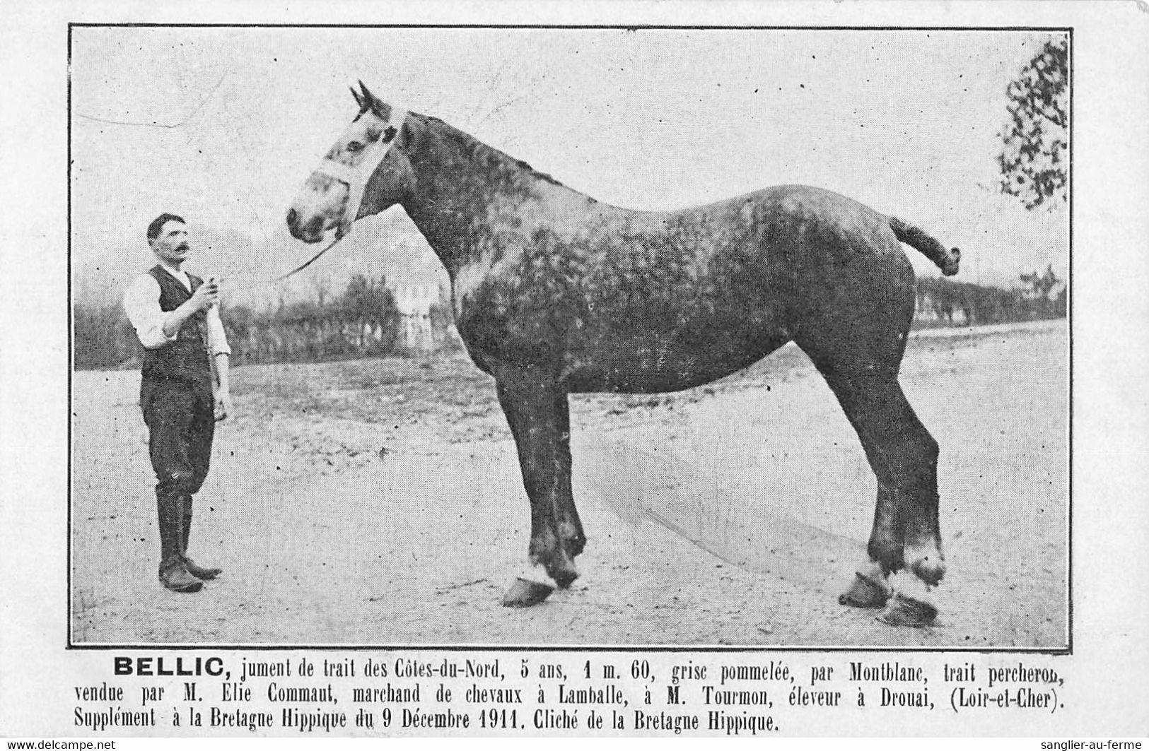 CPA 22 BELLIC JUMENT DE TRAIT DES COTES DU NORD ELIE COMAUT MARCHAND DE CHEVAUX A LAMBALLE - Altri & Non Classificati