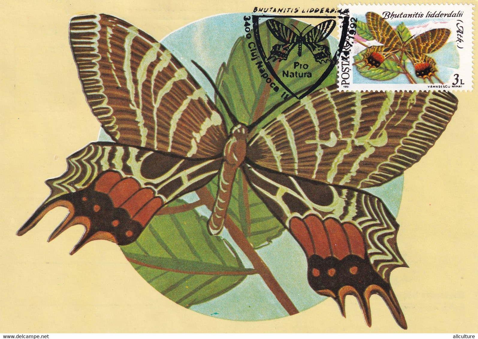 A9046- BHUTANITIS LIDDERDALII BUTTERFLY, PRONATURE CLUJ NAPOCA 1992 MAX CARD, USED STAMP  POSTCARD - Vlinders