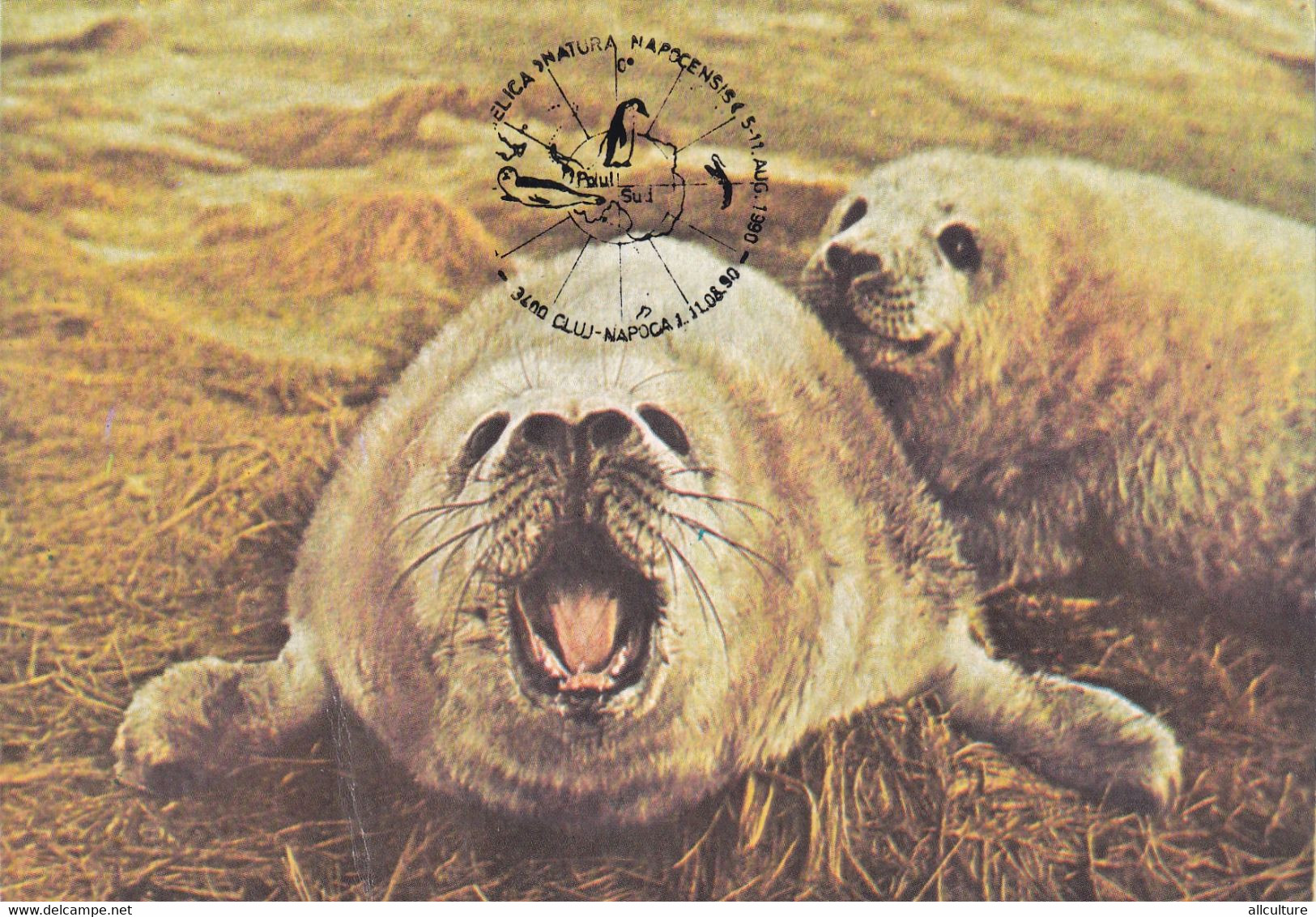 A9048- SEAL, SOUTH POLE EXHIBITION CLUJ NAPOCA 1990 ROMANIA  USED STAMP ON BACK - Fauna Antártica