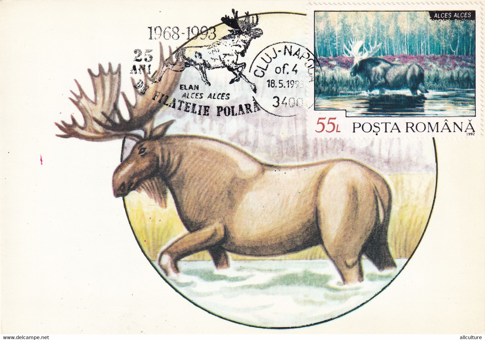 A9050- MOOSE ELK ALCES CLUJ NAPOCA 1993 MAX CARD ROMANIA  USED STAMP ON BACK - Andere & Zonder Classificatie