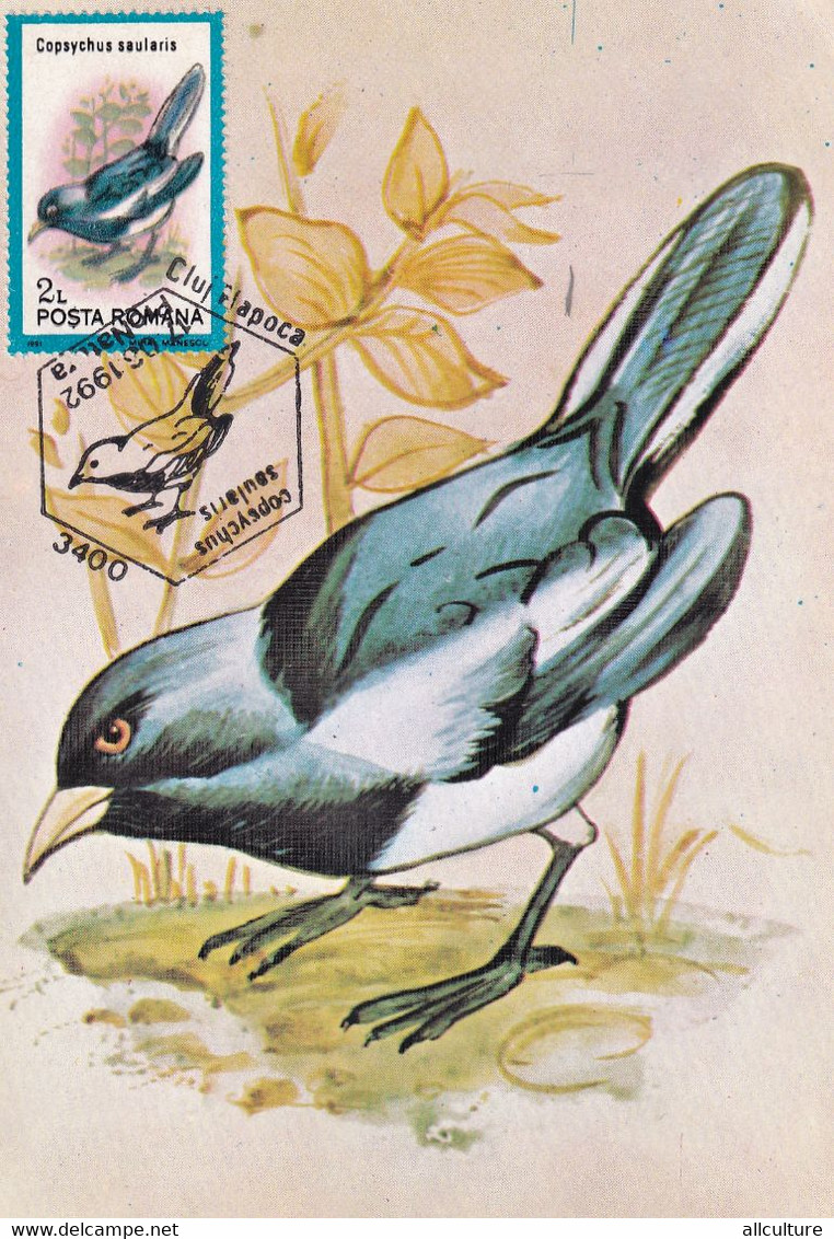 A9055- COPSYCHUS SAULARIS MAGPIE ROBIN BIRD,  PRONATURE 1992 MAX CARD ROMANIA  USED STAMP - Andere & Zonder Classificatie