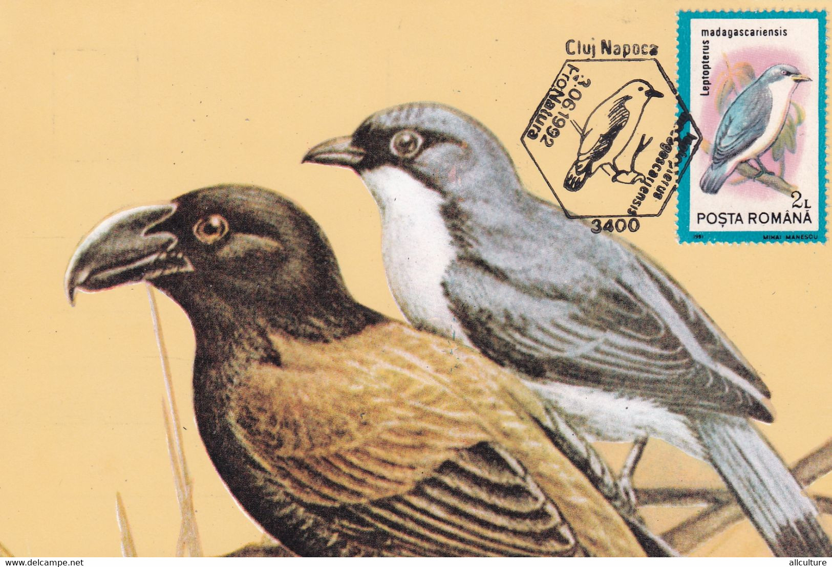 A9056- LEPTOPTERUS BIRD,  PRONATURE CLUJ NAPOCA 1992 MAX CARD ROMANIA  USED STAMP - Andere & Zonder Classificatie