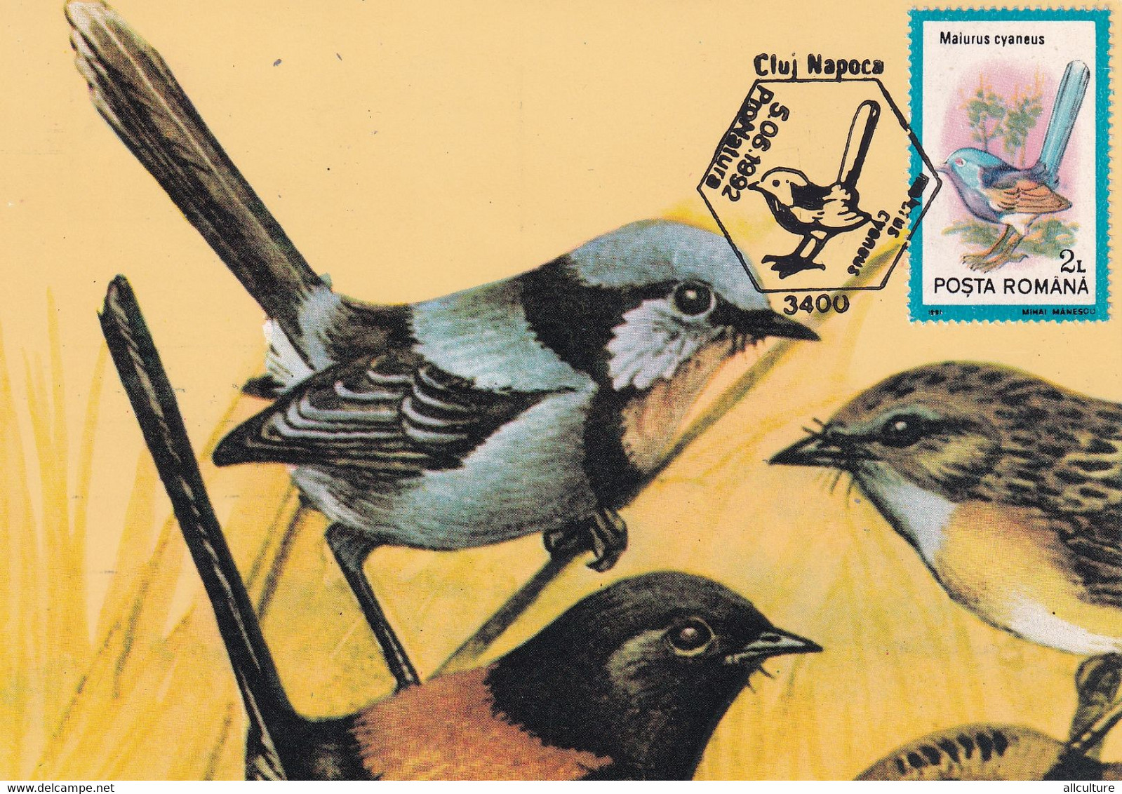 A9058- SUPERB FAIRYWREN BIRD PRONATURE CLUJ NAPOCA 1992 MAX CARD ROMANIA  USED STAMP - Andere & Zonder Classificatie