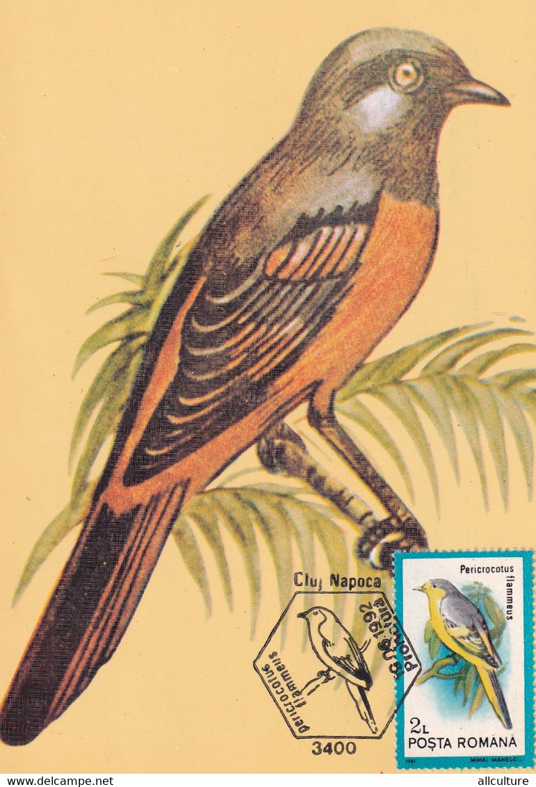 A9059- ORANGE MINIVET BIRD PRONATURE CLUJ NAPOCA 1992 MAX CARD ROMANIA  USED STAMP - Andere & Zonder Classificatie