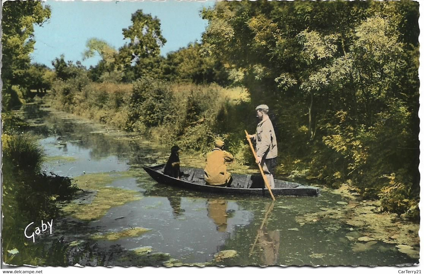 79. SAINT HILAIRE LA PALUD. CHASSE AU FAISAN. 1963. - Altri & Non Classificati