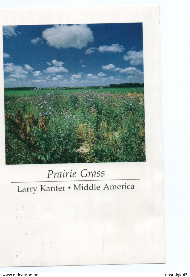 Photo Larry Kanfer Prairie Grass - Middle América Sinclair Lewis 14 & Armadillo 22 Recto-verso Timbres Année 1988 - Springfield – Illinois