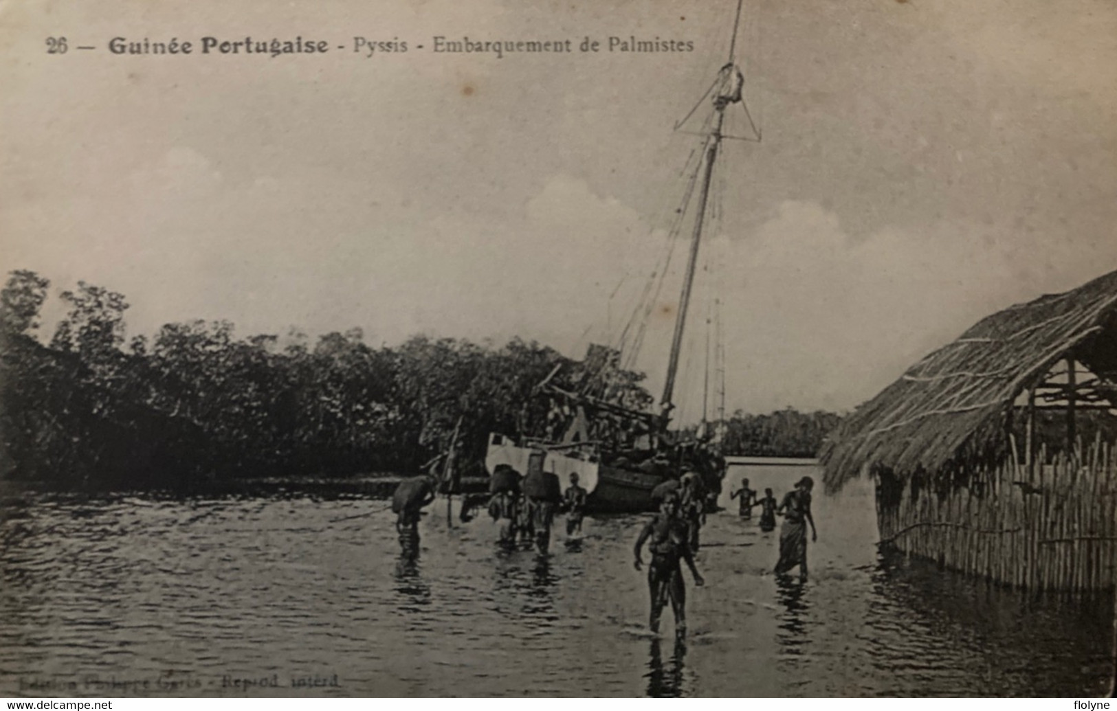 Guinée Portugaise - Pyssis - Embarquement Des Palmistes - Ethnic Ethno Femmes Seins Nus Nue Nude - Guinéa Bissau - Guinea Bissau
