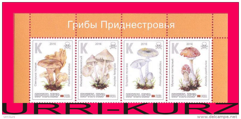 TRANSNISTRIA 2016 Nature Flora Poisonous Mushrooms Fungus 4v Se-tenant MNH - Pilze