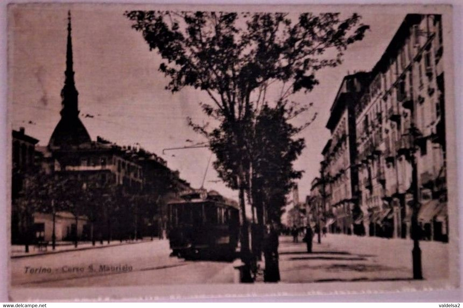 TORINO - CORSO S.MAURIZIO - FILOBUS / TRAM - Trasporti