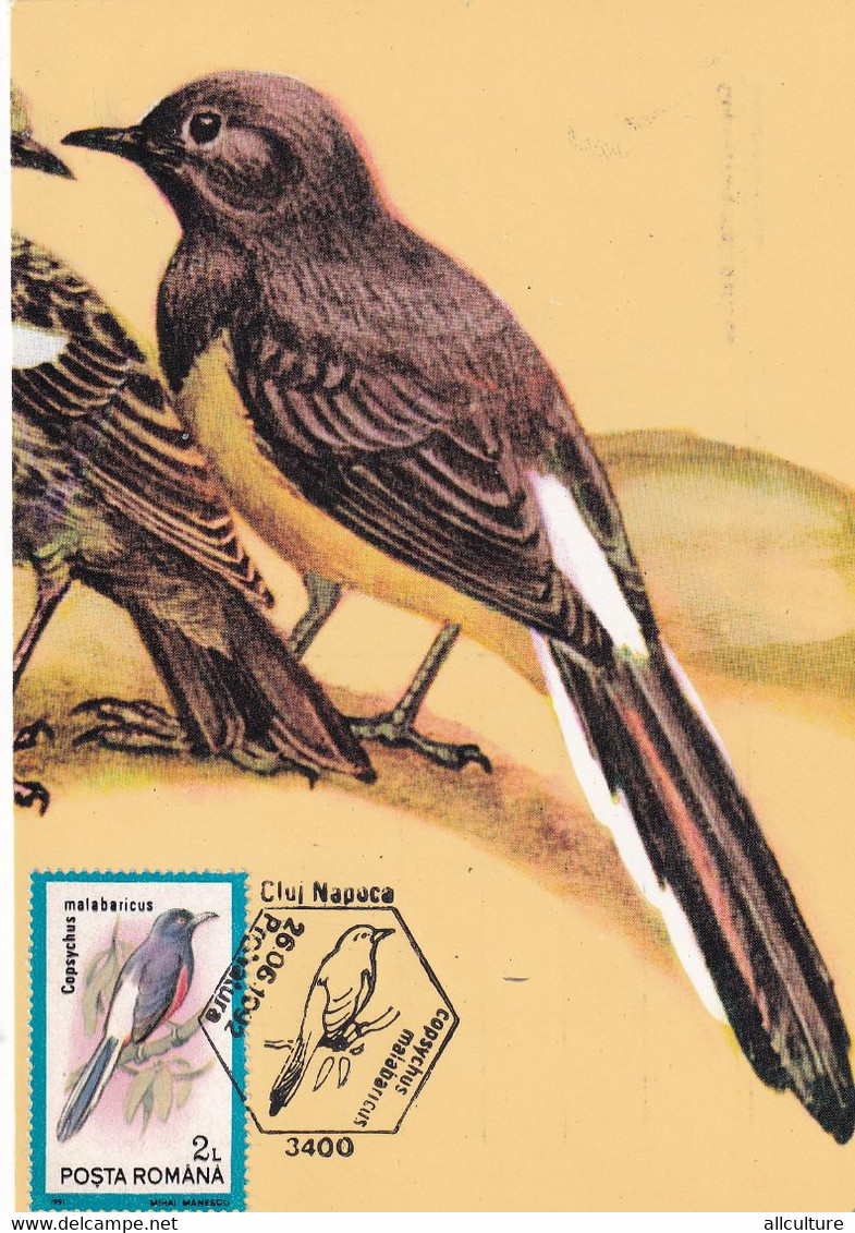 A9063- WHITE-RUMPED SHAMA BIRD PRONATURE CLUJ NAPOCA 1992 MAX CARD ROMANIA  USED STAMP - Andere & Zonder Classificatie