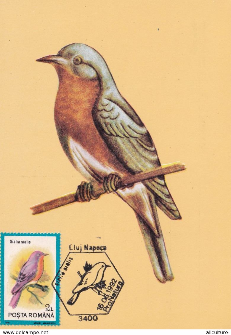 A9067- SIALIA SIALIS EASTERN BLUEBIRD BIRD PRONATURE CLUJ NAPOCA 1992 ROMANIA MAXIMUM CARD USED STAMP - Andere & Zonder Classificatie