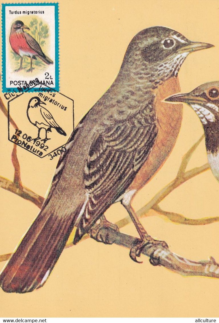 A9068- TURDUS MIGRATORIUS AMERICAN ROBIN BIRD PRONATURE CLUJ NAPOCA 1992 ROMANIA MAXIMUM CARD USED STAMP - Andere & Zonder Classificatie