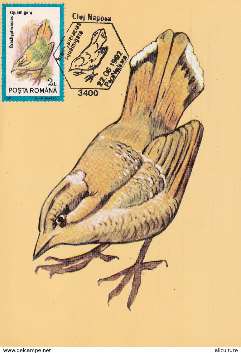 A9070- SCALLY GROUND ROLLER BIRD PRONATURE CLUJ NAPOCA 1992 ROMANIA MAXIMUM CARD USED STAMP - Andere & Zonder Classificatie