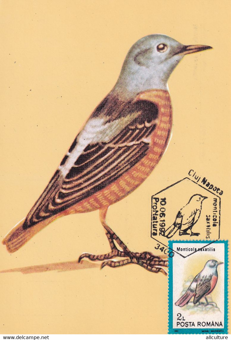 A9071- COMMON ROCK THRUSH BIRD PRONATURE CLUJ NAPOCA 1992 ROMANIA MAXIMUM CARD USED STAMP - Andere & Zonder Classificatie