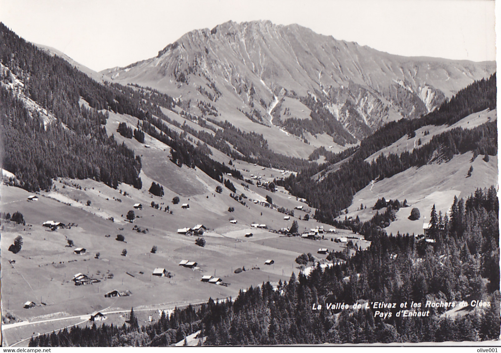 Les Mosses, La Vallée De L'Etivaz Et Les Rochers De Clées Pays D'Enhaut. Carte Circulée - Les Clées