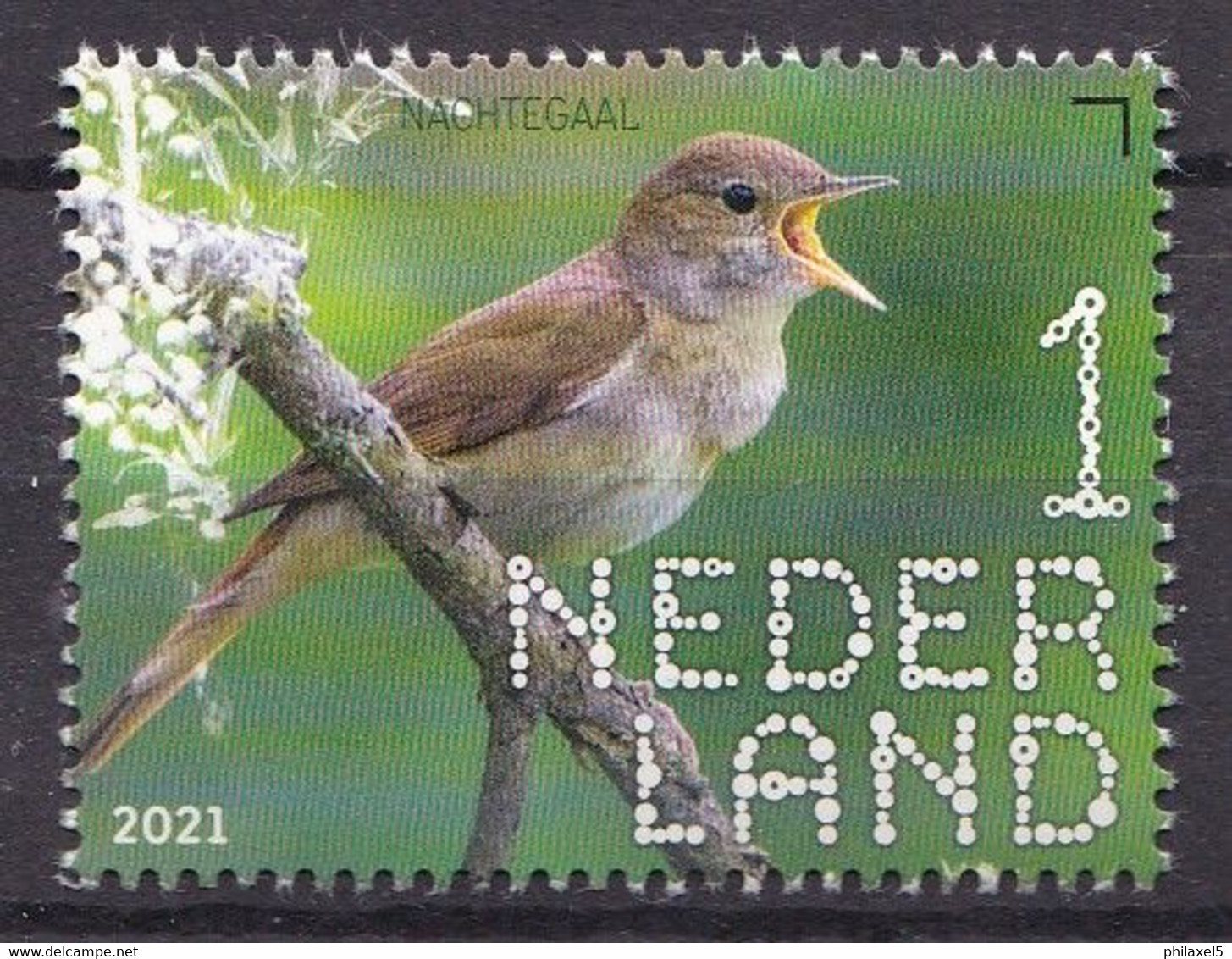 Nederland - Beleef De Natuur - 14 Juni 2021 - Duin En Kruidberg - Nachtegaal/nightingale/Nachtigall/Rossignol - MNH - Sperlingsvögel & Singvögel