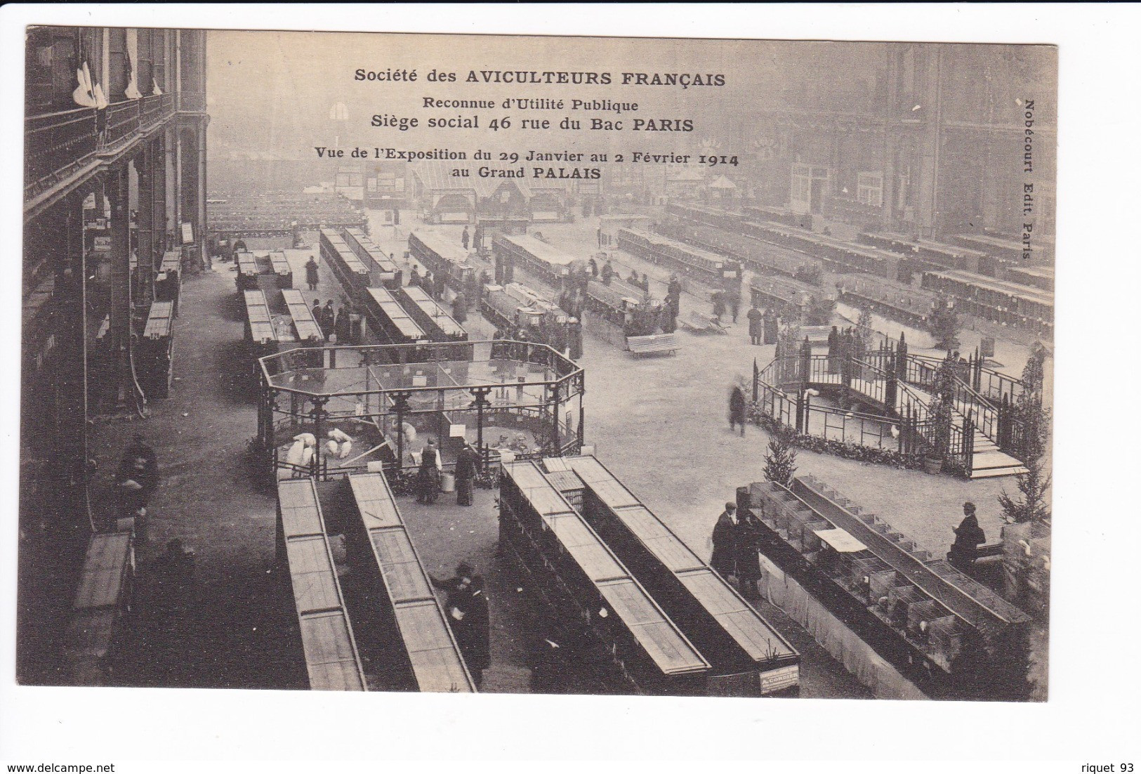 Lot 3 Cpa -Société Des Aviculteurs Français - Vue De L'exposition  Du 29 Janvier Au 2 Février 1914 Au Grand PALAIS - Sonstige & Ohne Zuordnung