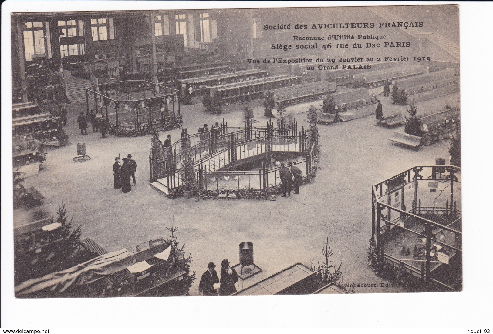 Lot 3 Cpa -Société Des Aviculteurs Français - Vue De L'exposition  Du 29 Janvier Au 2 Février 1914 Au Grand PALAIS - Andere & Zonder Classificatie