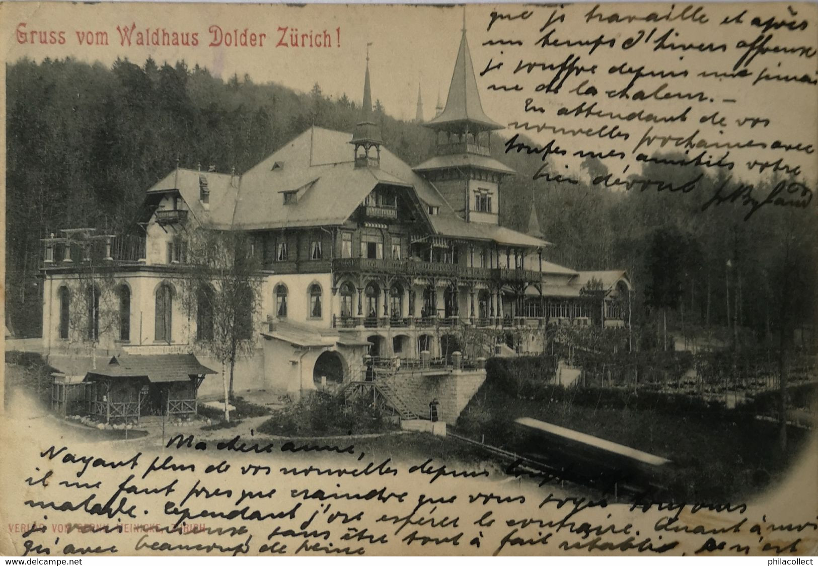 Suisse (ZG) Zürich // Gruss Vom Waldhaus Dolder 1901 - Wald