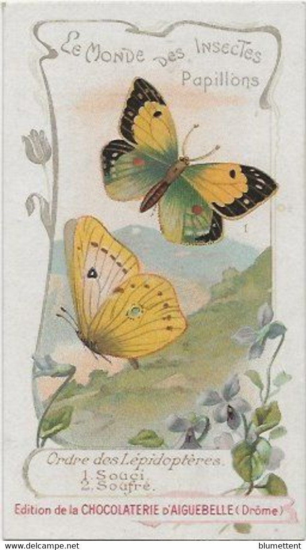 Chromo Aiguebelle 11,5 X 6.5 - Le Monde Des Insectes - Papillons - Aiguebelle