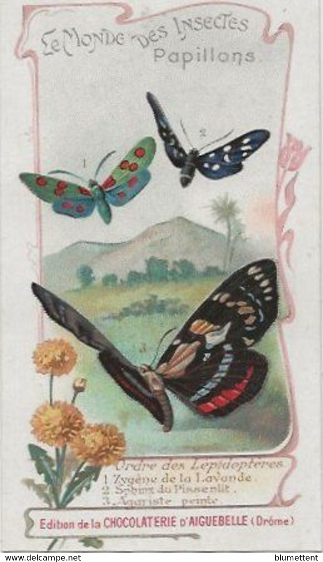 Chromo Aiguebelle 11,5 X 6.5 - Le Monde Des Insectes - Papillons - Aiguebelle