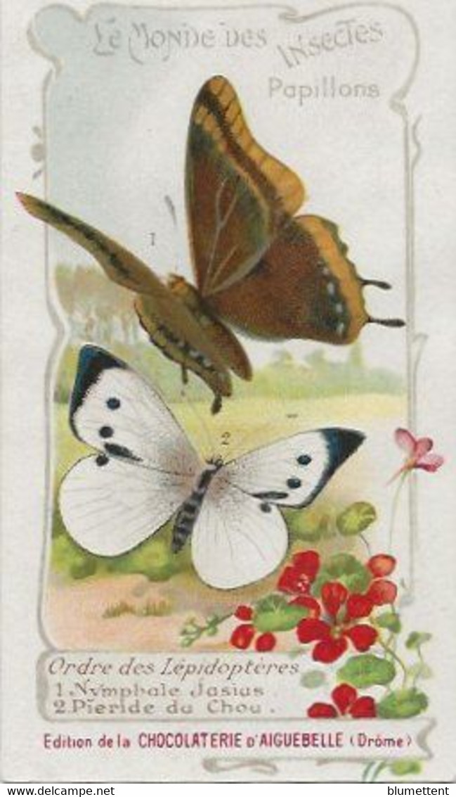 Chromo Aiguebelle 11,5 X 6.5 - Le Monde Des Insectes - Papillons - Aiguebelle