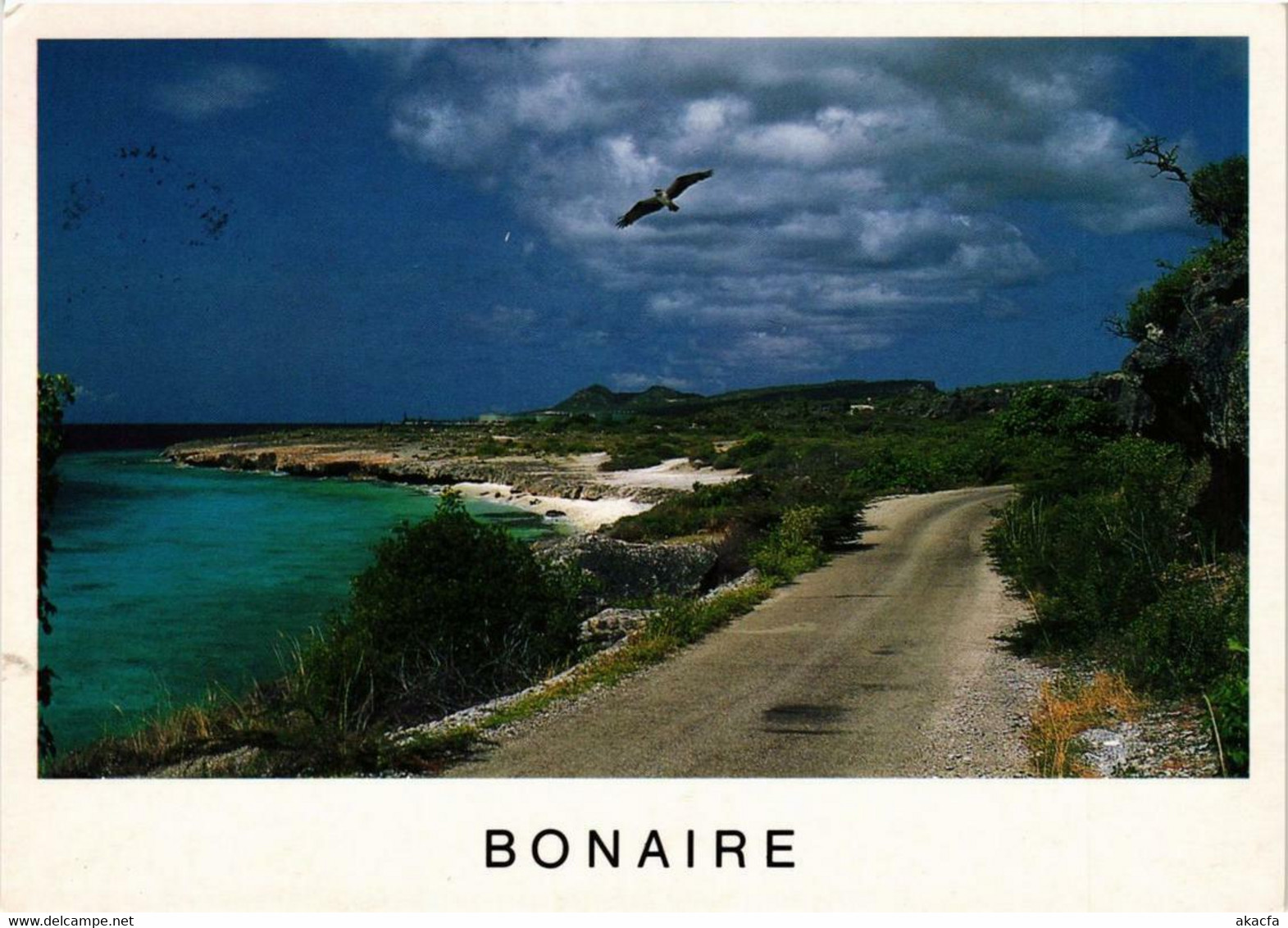 CPM AK Vue Générale BONAIRE (750237) - Bonaire