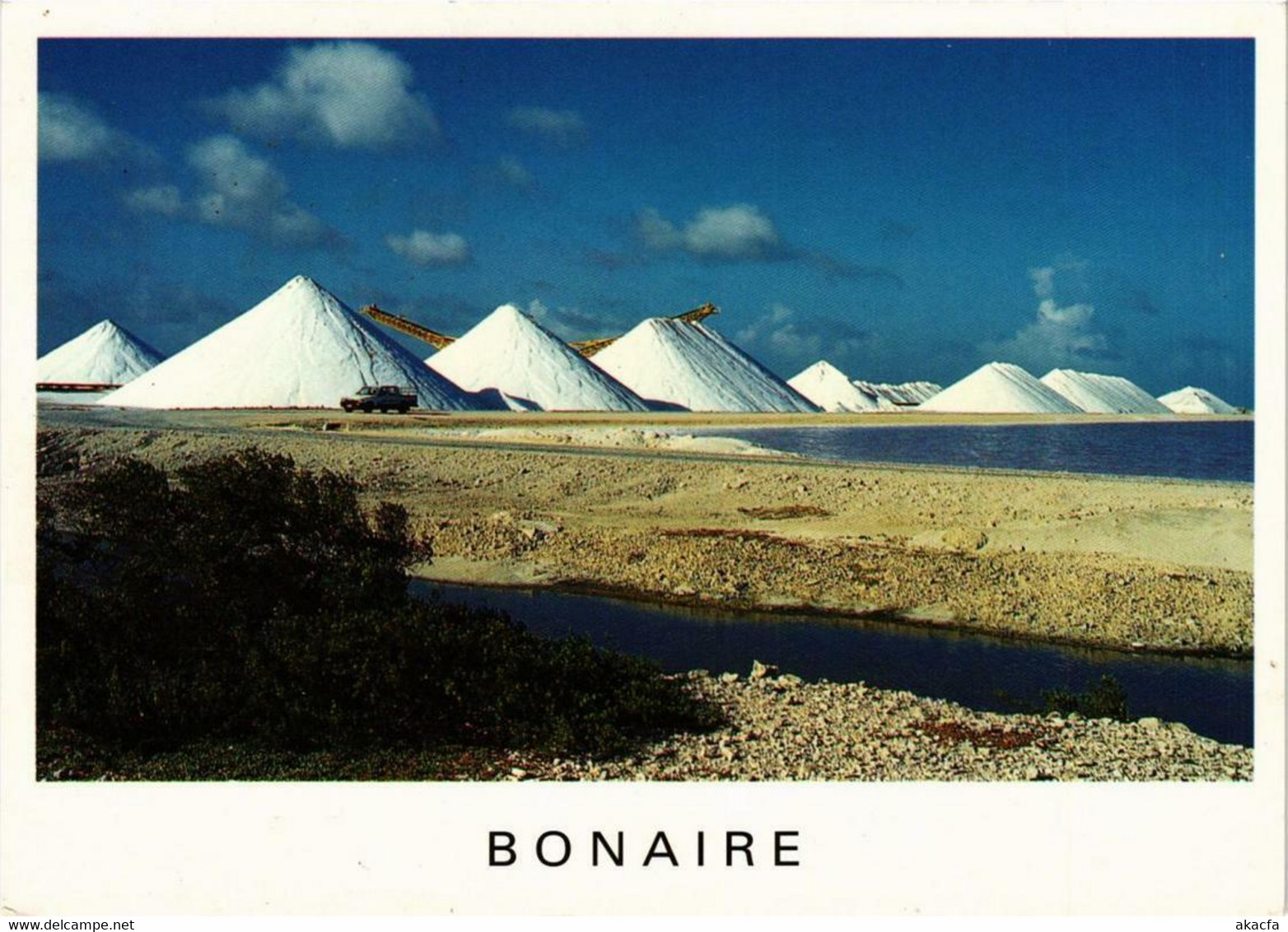 CPM AK Netherlands Antilles BONAIRE (750245) - Bonaire