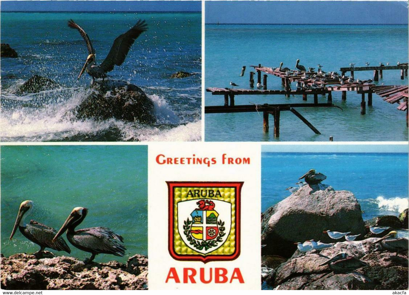 CPM AK Greetings From Aruba ARUBA (750299) - Aruba