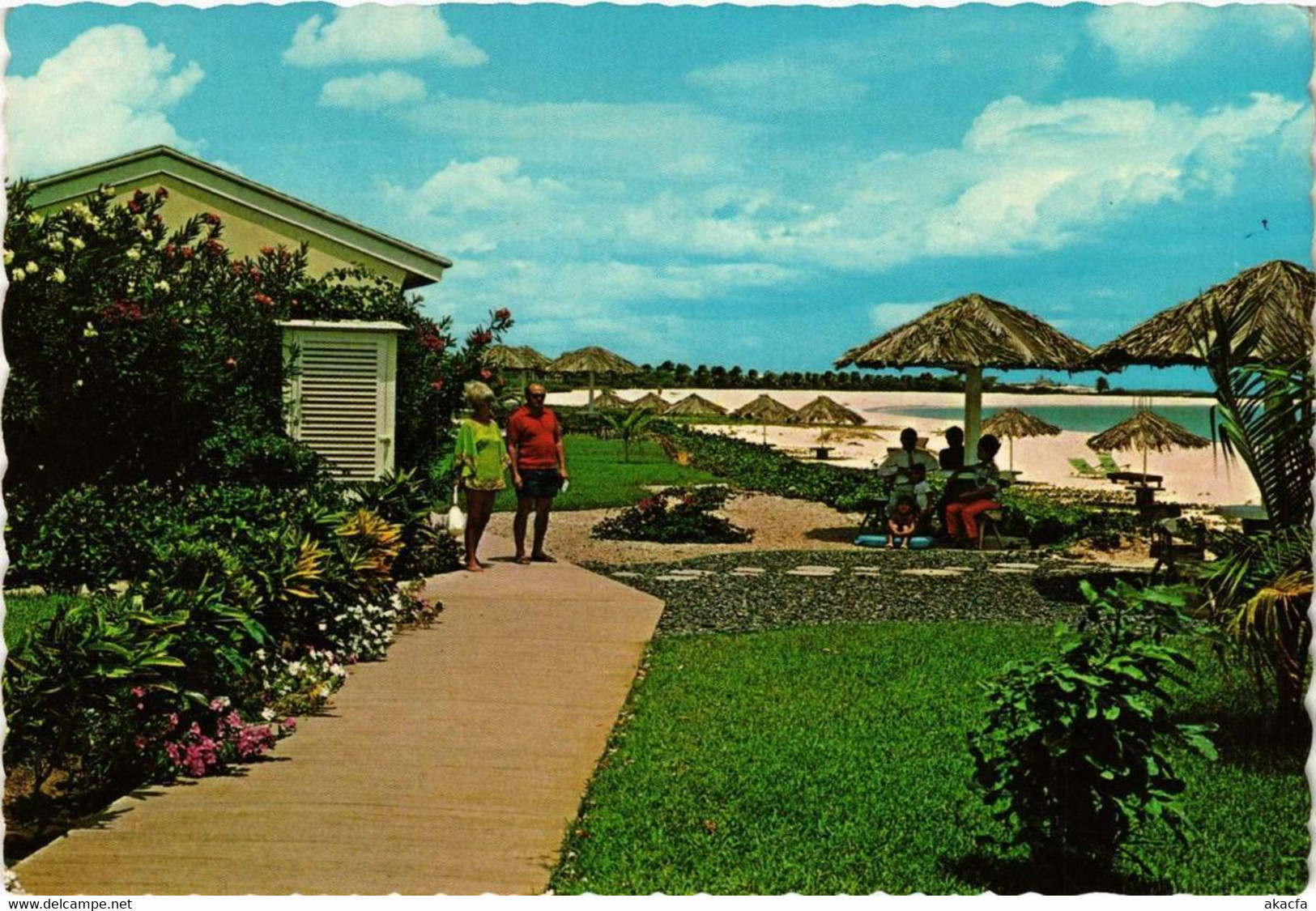 CPM AK Divi Divi Beach Hotel ARUBA (750310) - Aruba