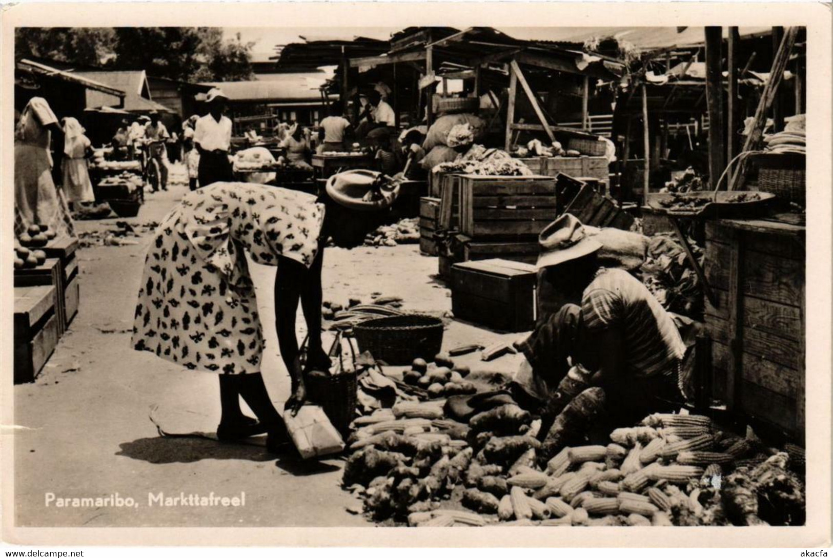 CPA AK PARAMARIBO Markttafréel SURINAME (750374) - Surinam
