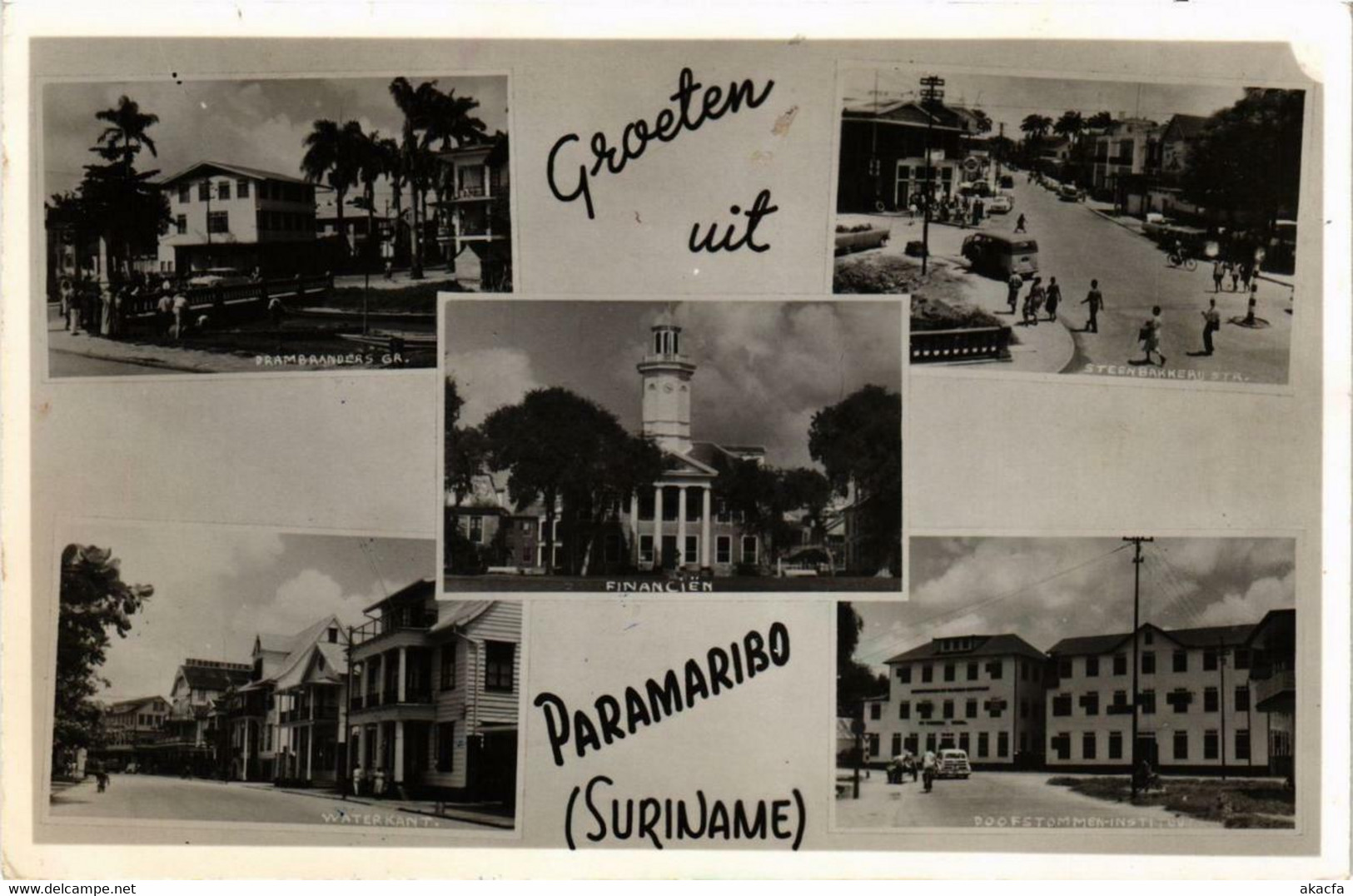 CPA AK Groeten Uit PARAMARIBO SURINAME (750380) - Suriname