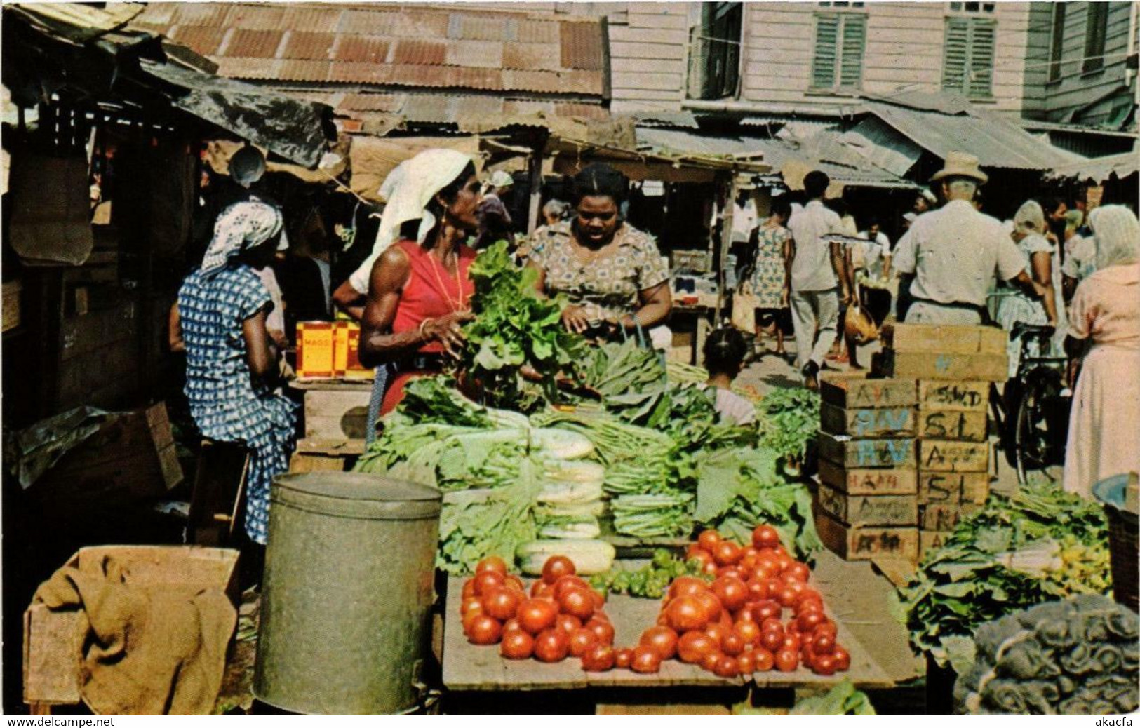 CPM AK Market Scene SURINAME (750440) - Surinam