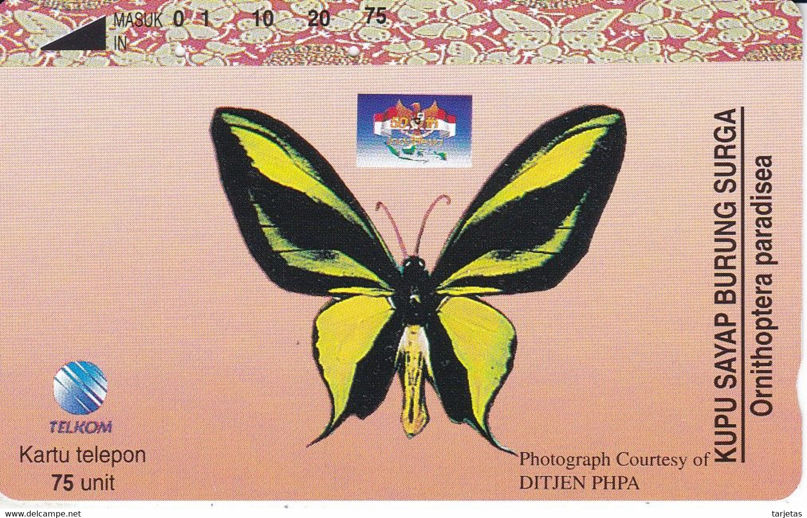 TARJETA DE INDONESIA DE UNA MARIPOSA (BUTTERFLY) - Butterflies
