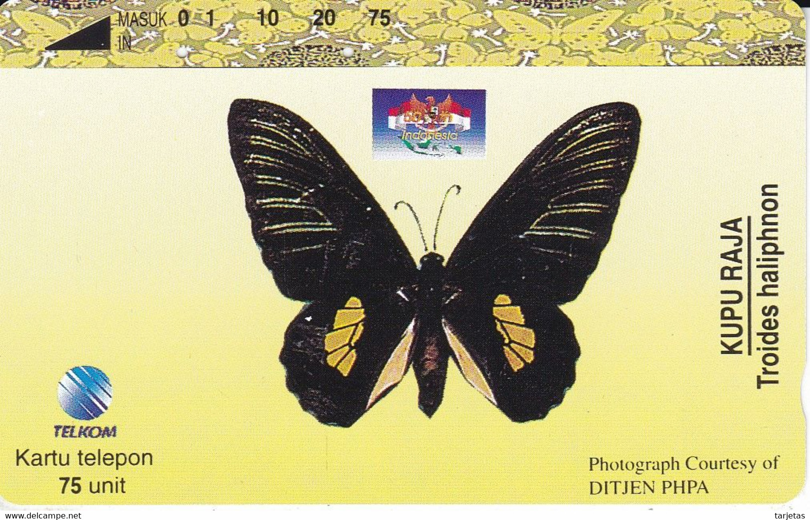 TARJETA DE INDONESIA DE UNA MARIPOSA (BUTTERFLY) - Mariposas