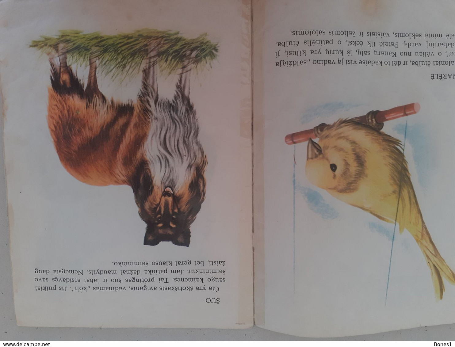 Soviet Union Period Lithuania  Book For Kids 1976 - Junior