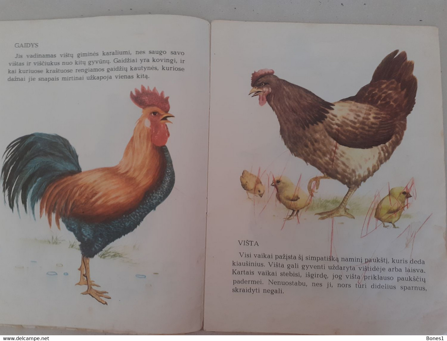 Soviet Union Period Lithuania  Book For Kids 1976 - Giovani