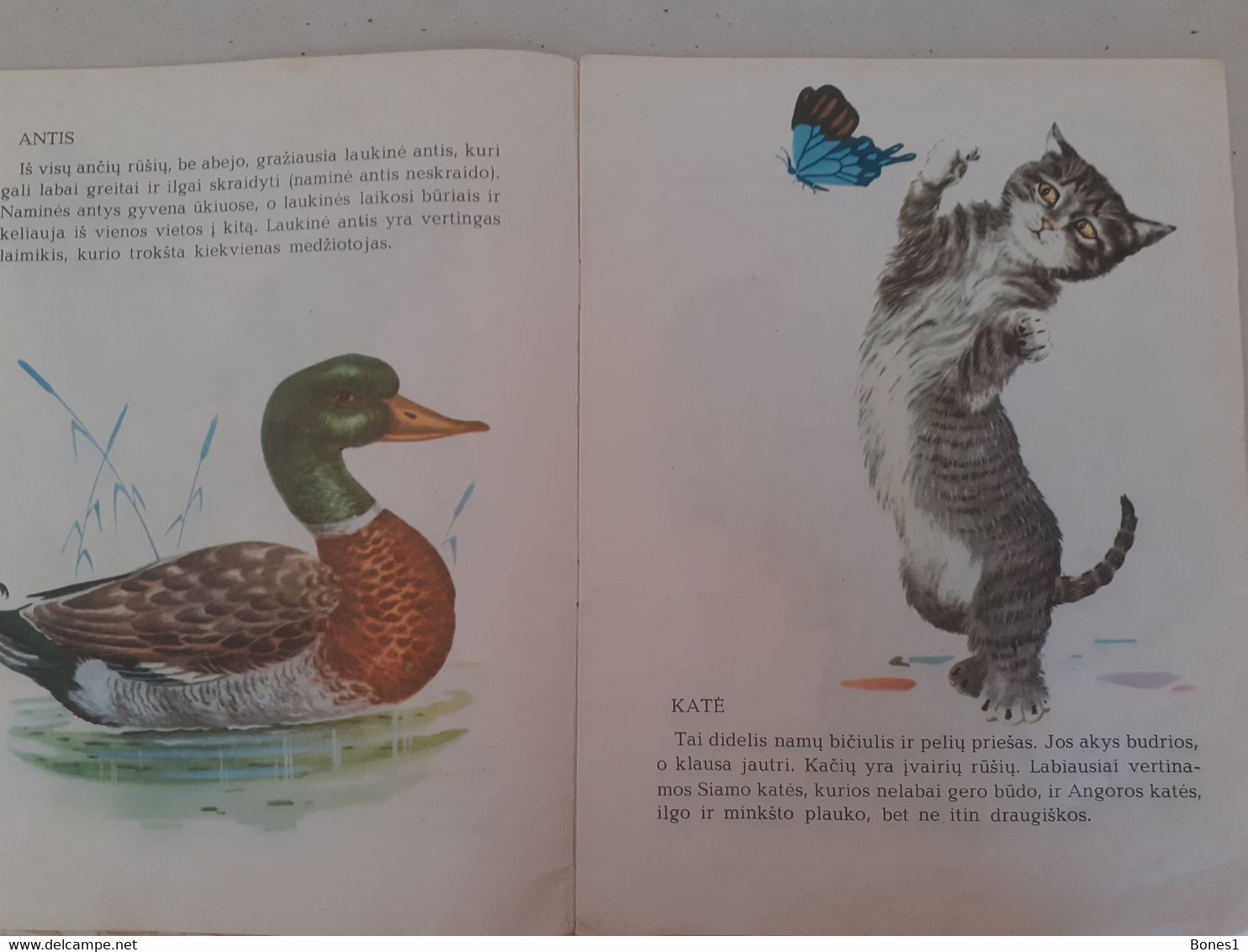 Soviet Union Period Lithuania  Book For Kids 1976 - Junior