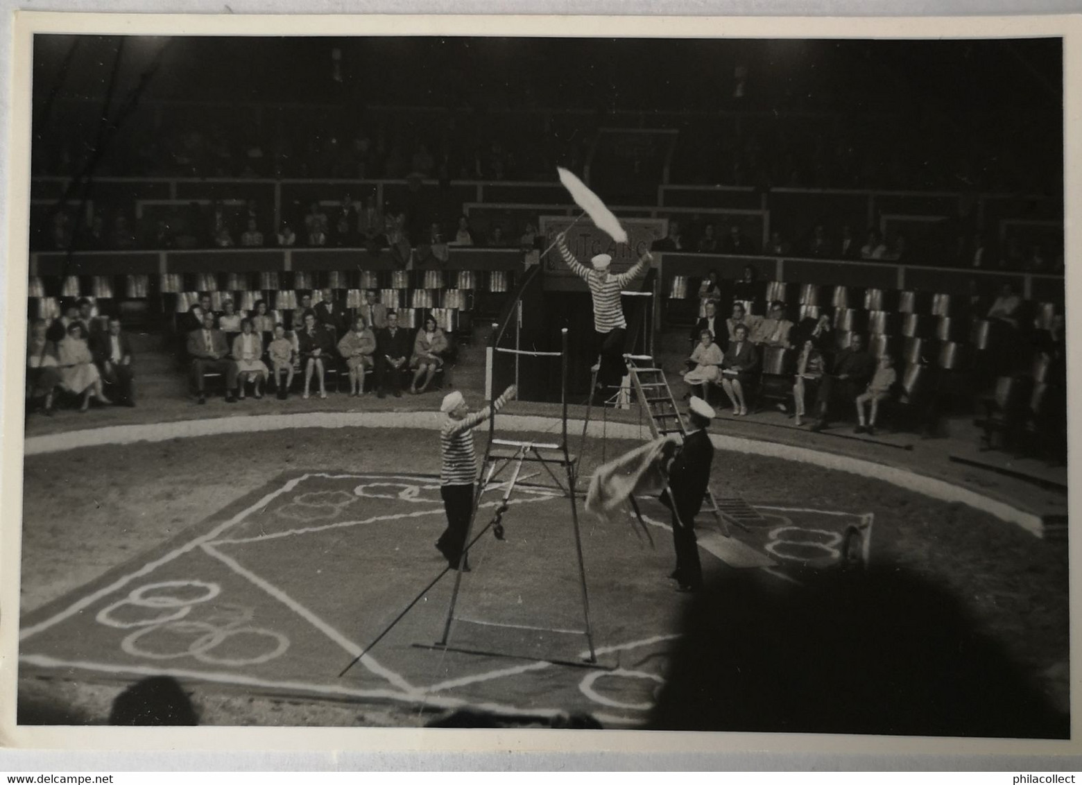 Circus - Cirque // Carte Photo - RPPC To Identify, Prob. Belgie No. 5. // High Wire Act.19?? - Zirkus