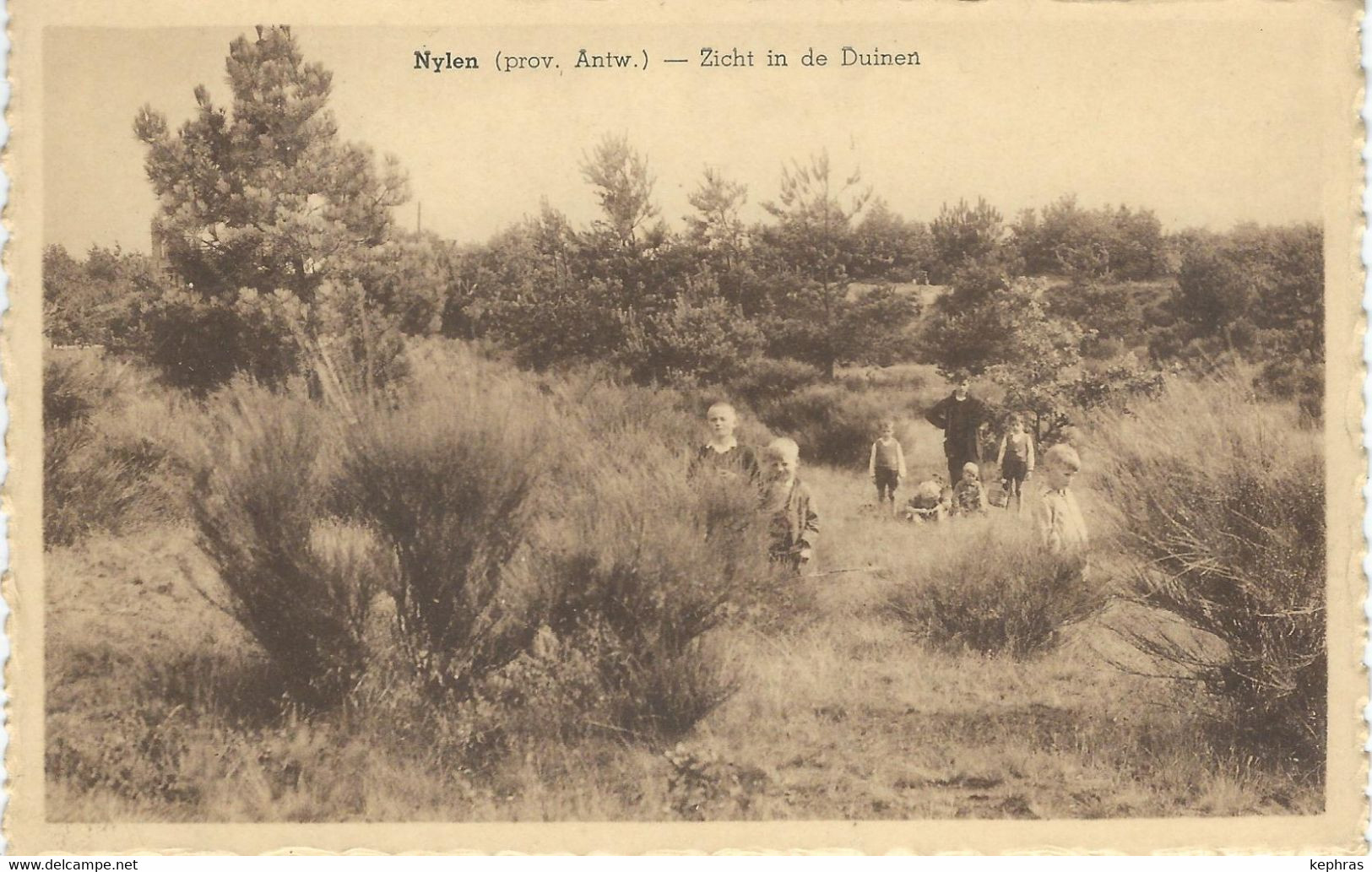 NYJLEN - NIJLEN : Zicht In De Duinen - Cachet De La Poste 1939 - Nijlen