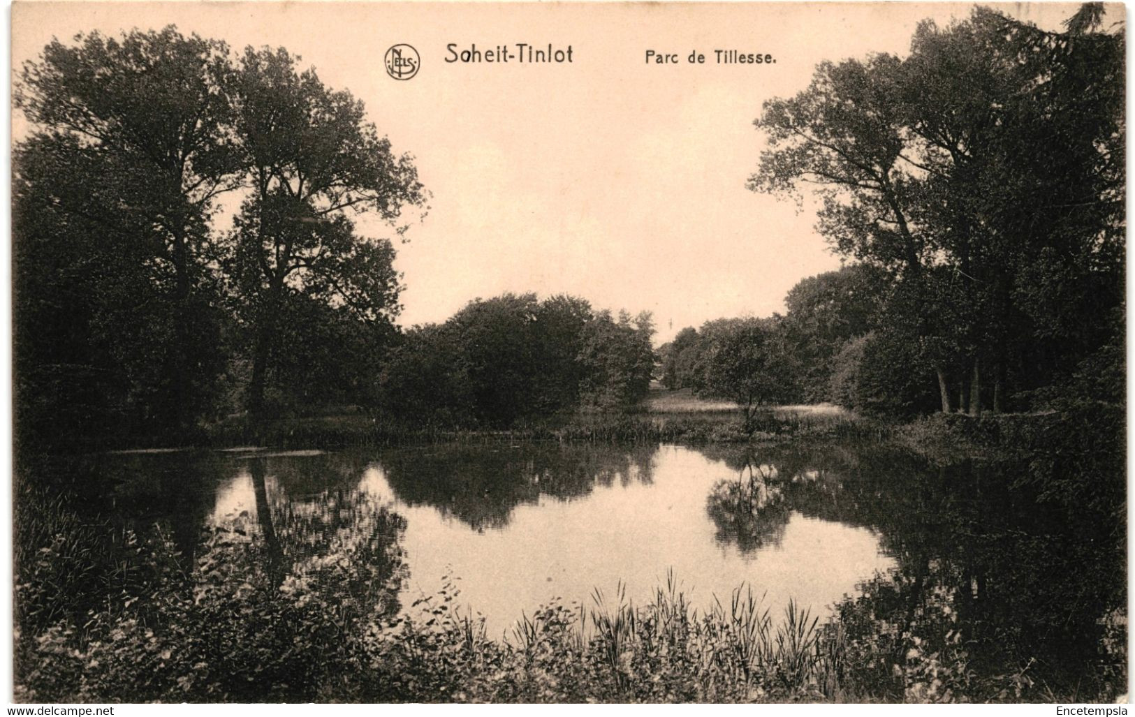 CPA  Carte Postale Belgique- Soheit-Tinlot- Parc De Tillesse VM33201at - Tinlot