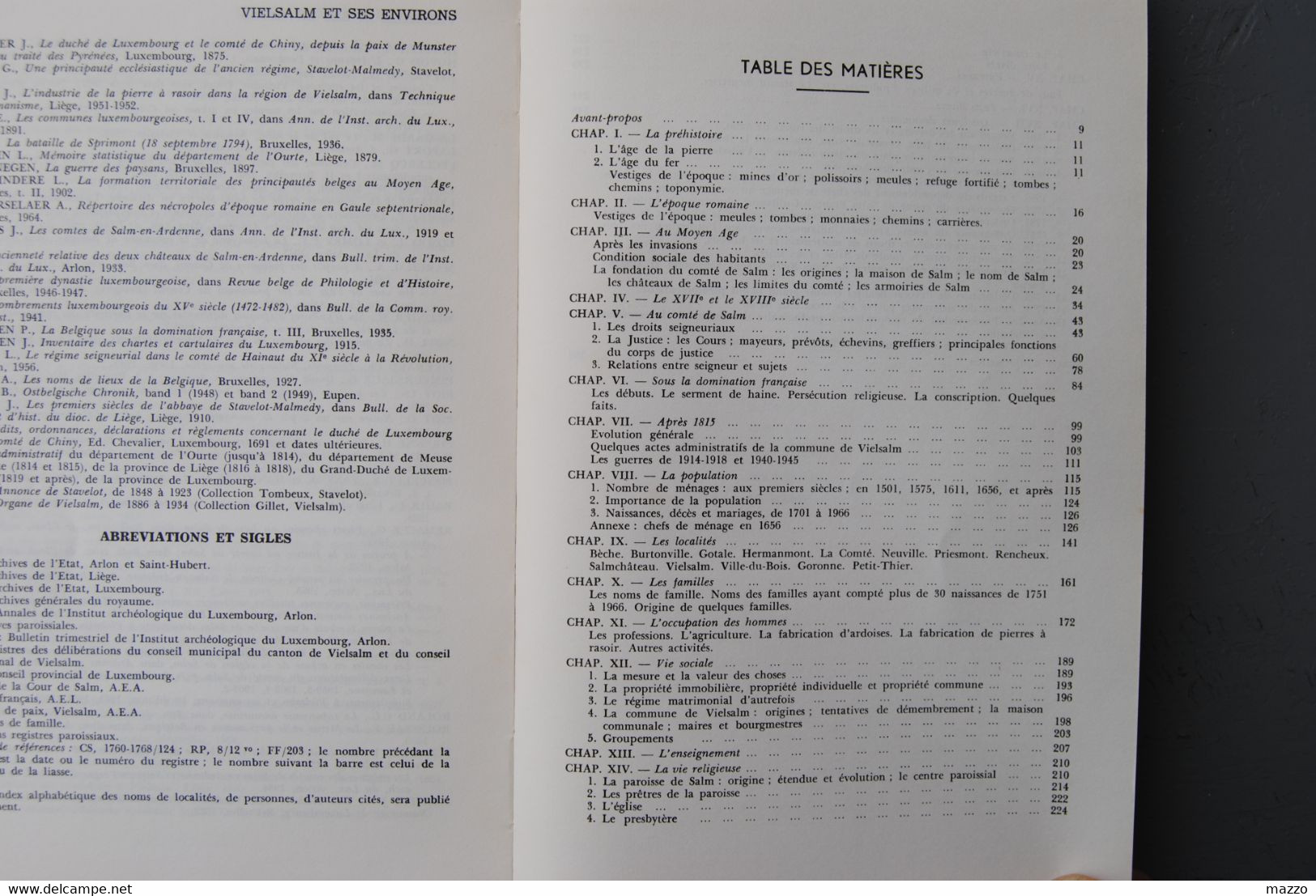 5071/VIELSALM Et Ses Environs-Gaston REMACLE - Sin Clasificación