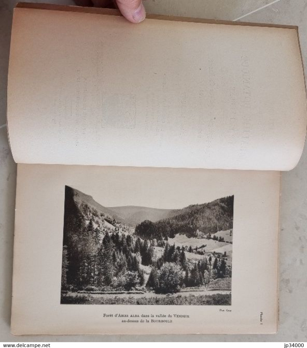 ETUDE SUR LA GEOGRAPHIE BOTANIQUE DE L'AUVERGNE. Esquisse Phytogéographique Du Massif Des Monts Dores Par A. LUQUET 1929 - Auvergne