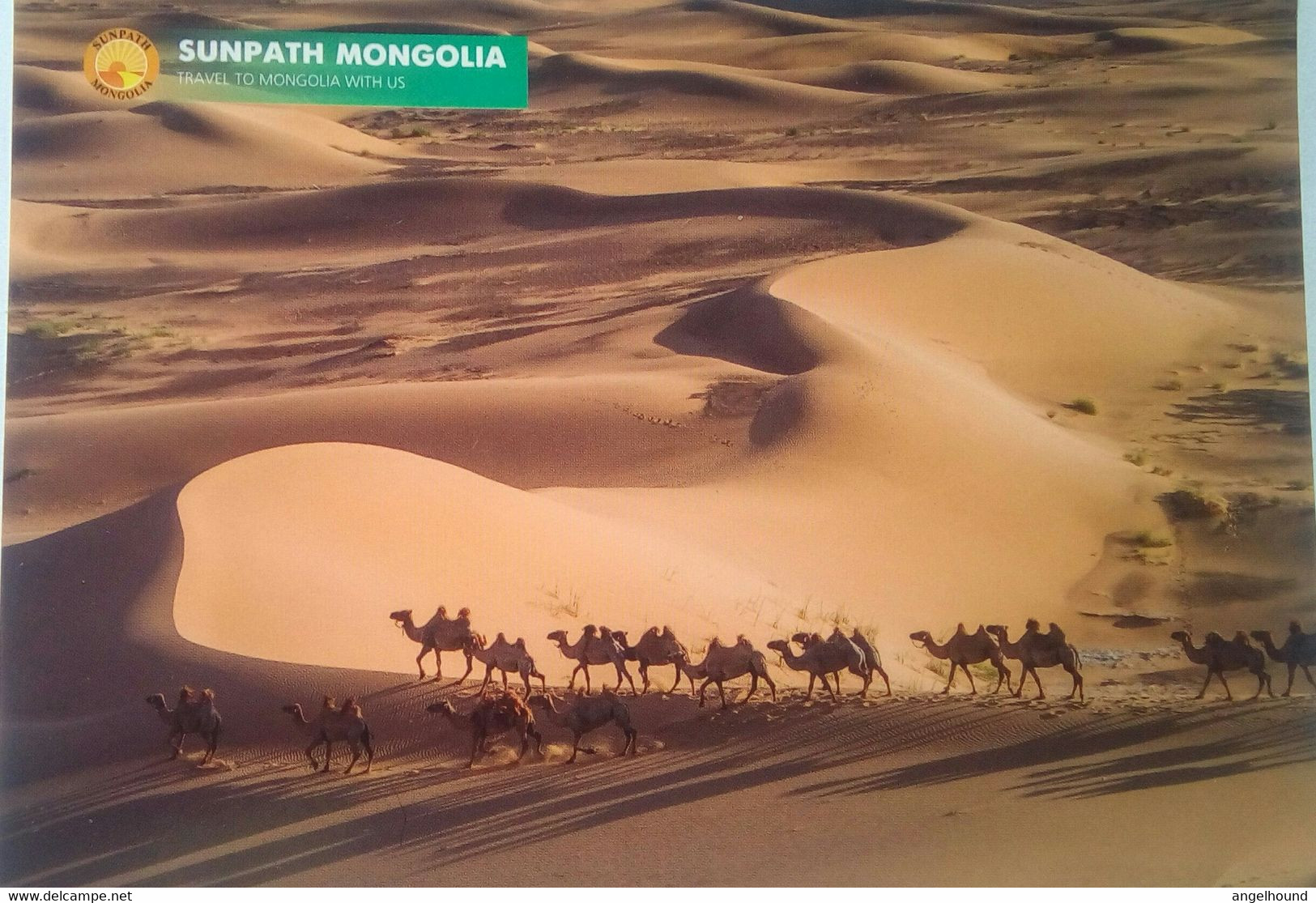 Gobi, Khongor Sand Dunes - Mongolië