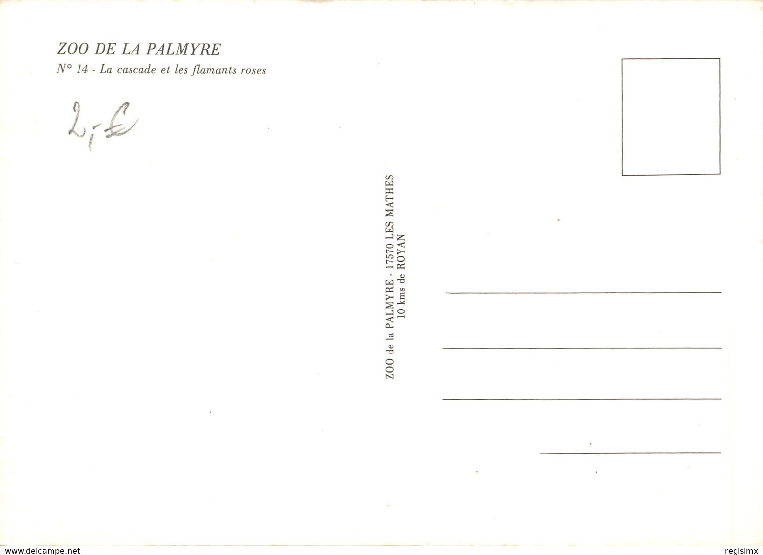 17-LA PALMYRE-LE ZOO-N°384-D/0361 - Other & Unclassified