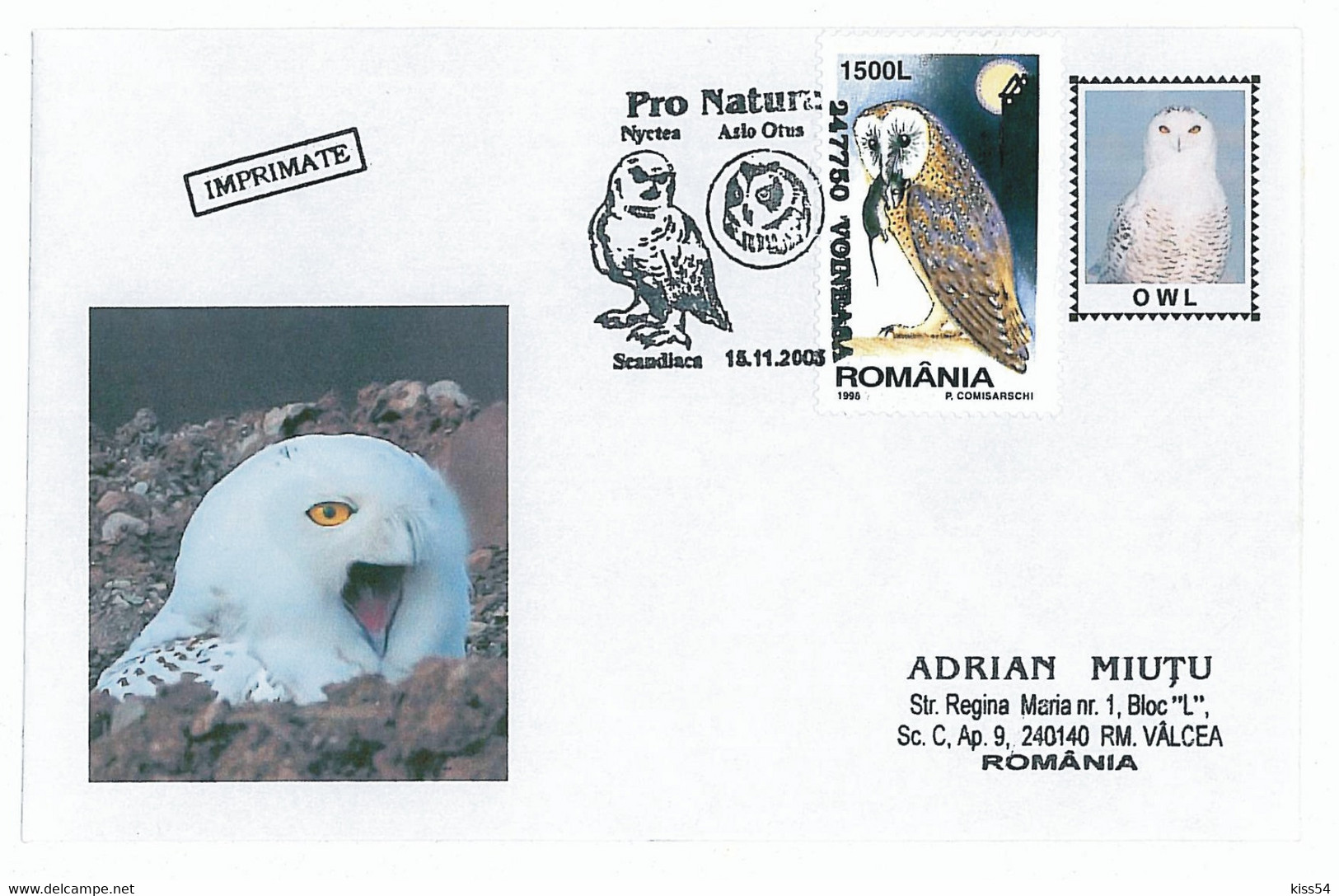 COV 68 - 253 OWL, Romania - Cover - Used - 2005 - Hiboux & Chouettes