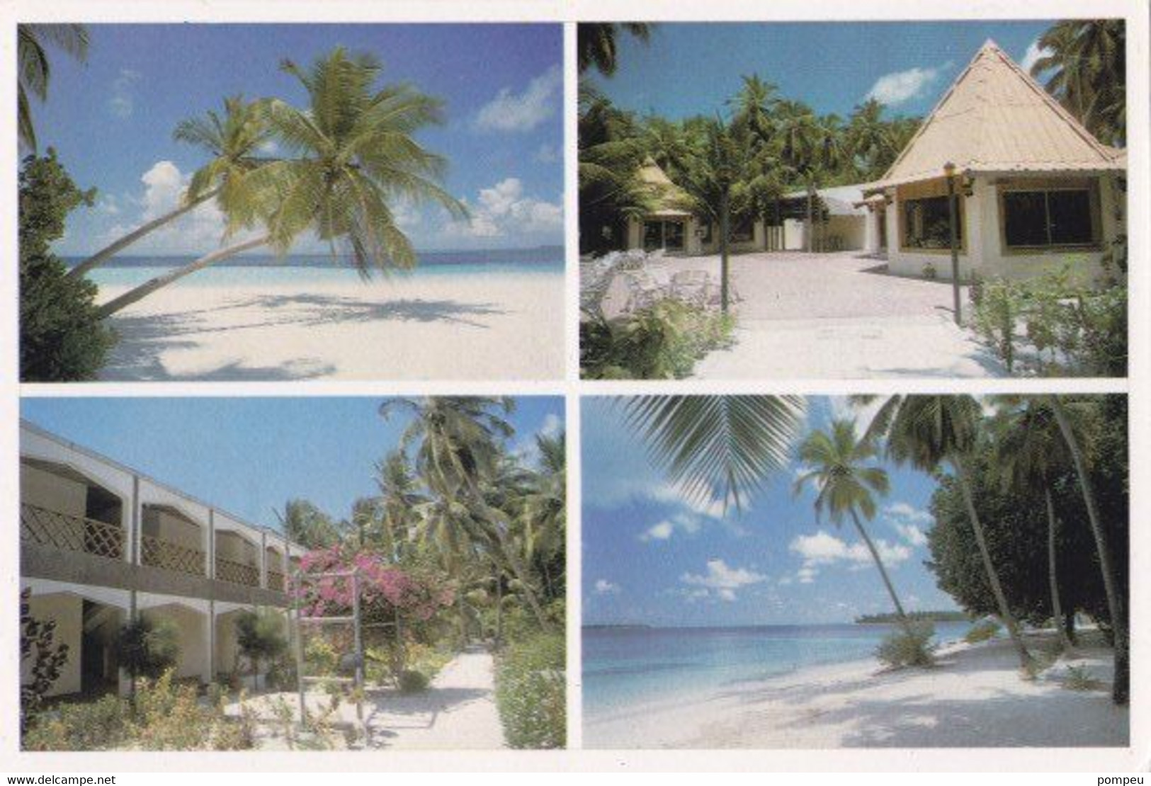 QN - Lote 9 Cartes - MALDIVE ISLANDS - 5 - 99 Cartes