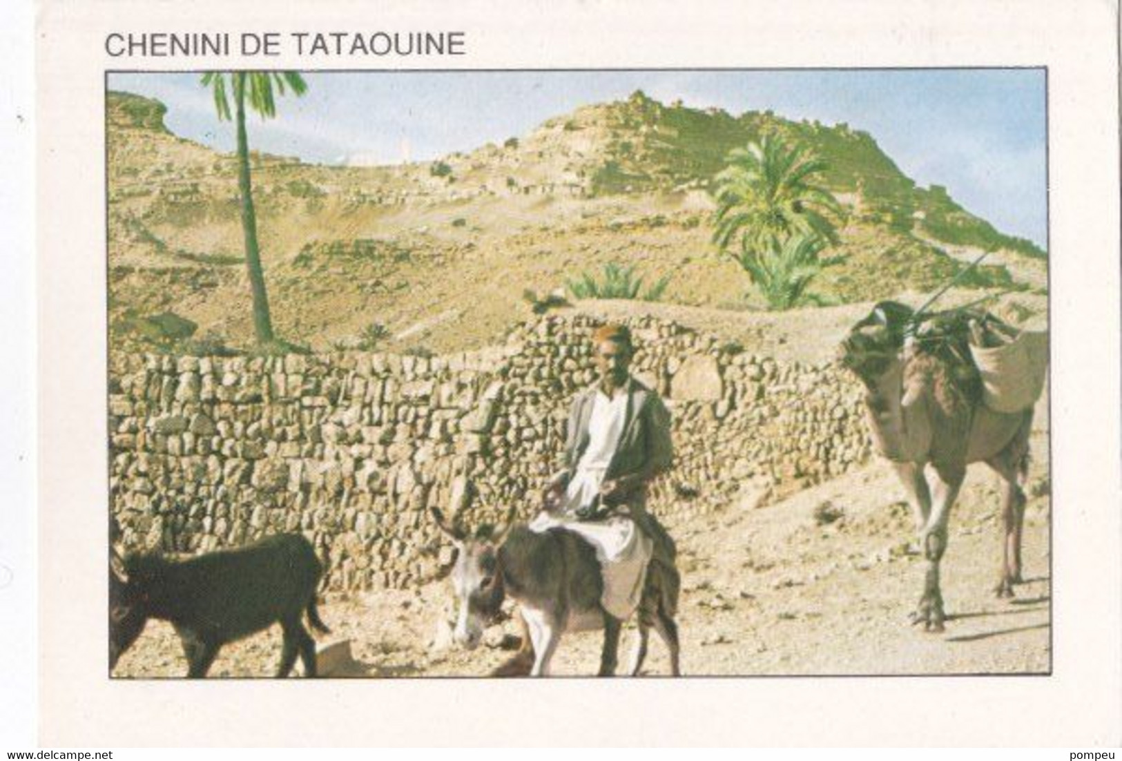 QN - Lote 18 Cartes - TUNISIE  (neuf) - 5 - 99 Cartes